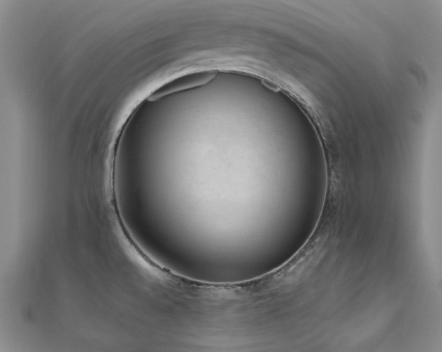 X0000110711528200906121344