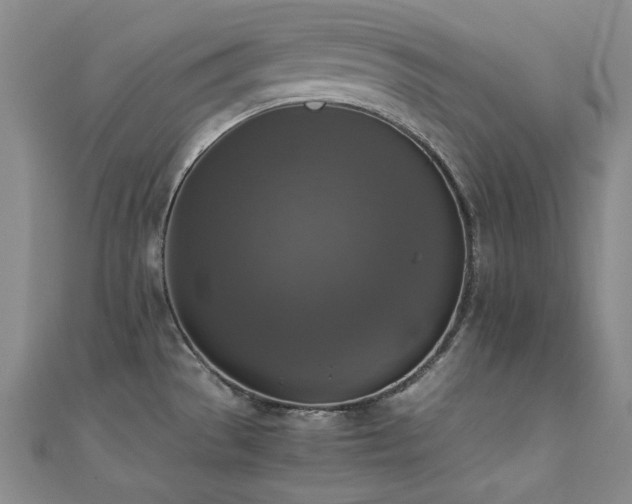 X0000110711529200906121344
