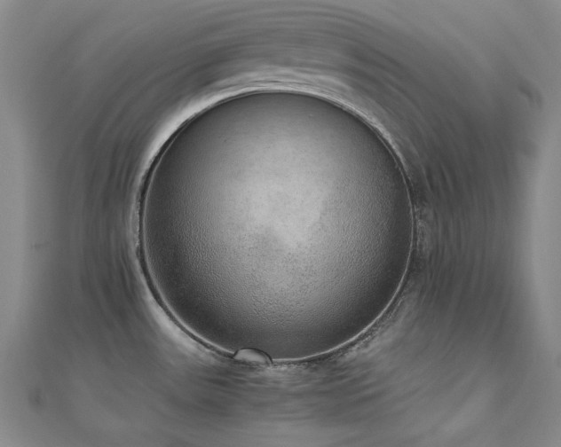 X0000110711531200906121344