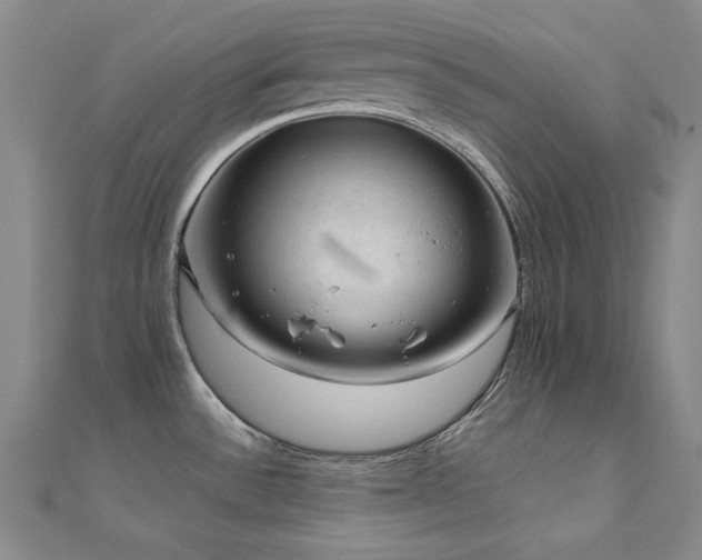 X0000110711532200906121344
