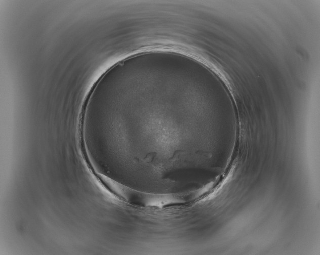 X0000110711533200906121344