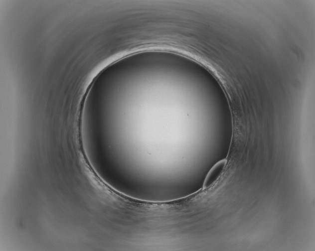 X0000110711534200906121344
