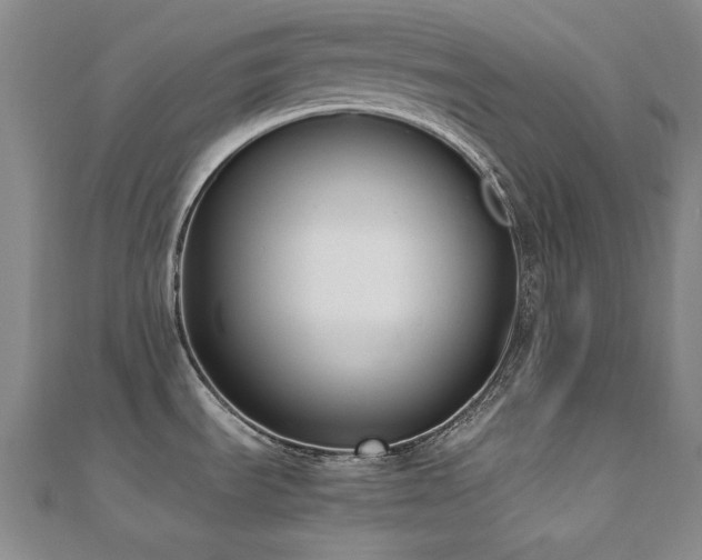 X0000110711535200906121344