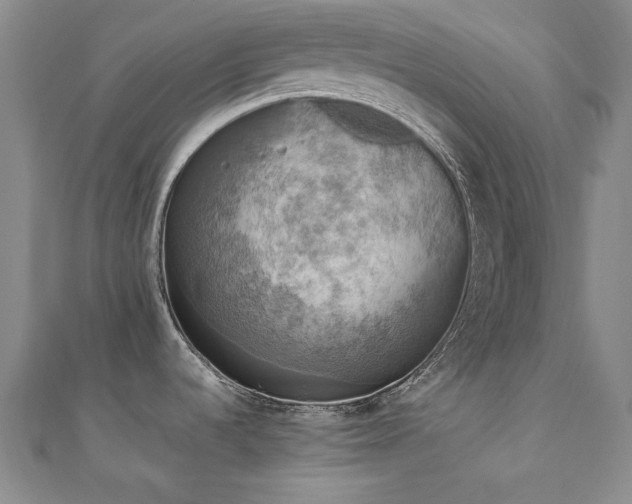 X0000110711536200906121344