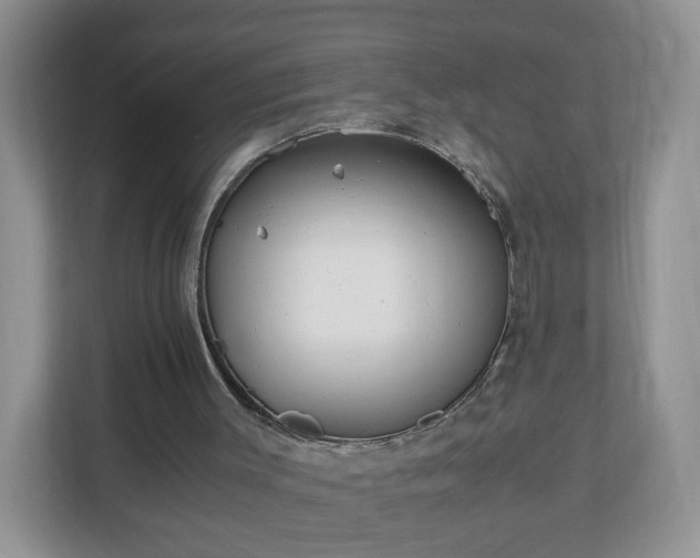 X0000110710003200906191557