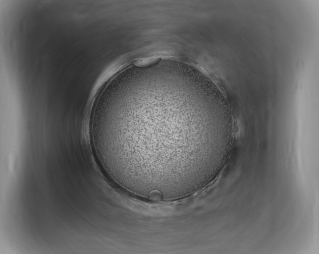 X0000110710004200906191557