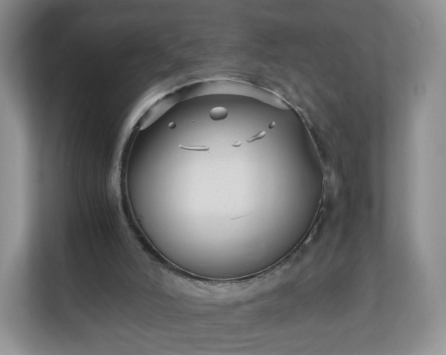 X0000110710006200906191557