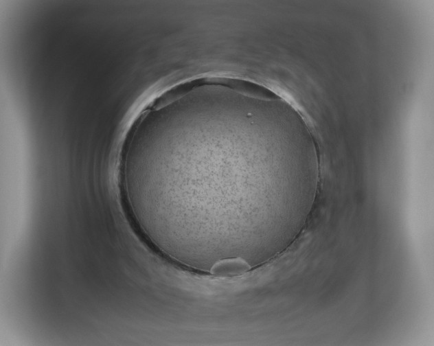 X0000110710007200906191557