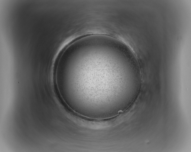 X0000110710008200906191557