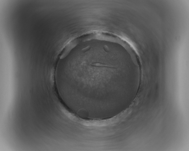 X0000110710009200906191557