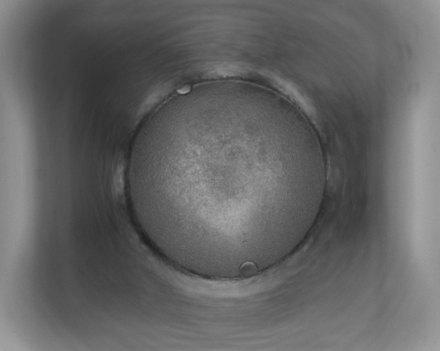 X0000110710010200906191557