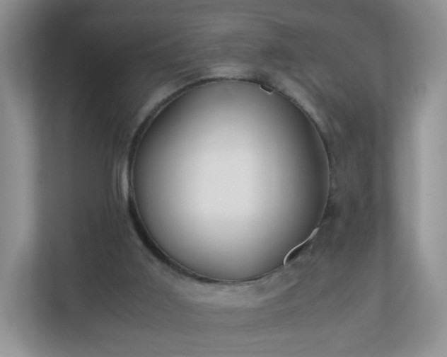 X0000110710011200906191557