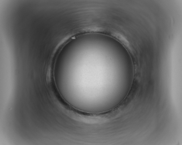 X0000110710012200906191557