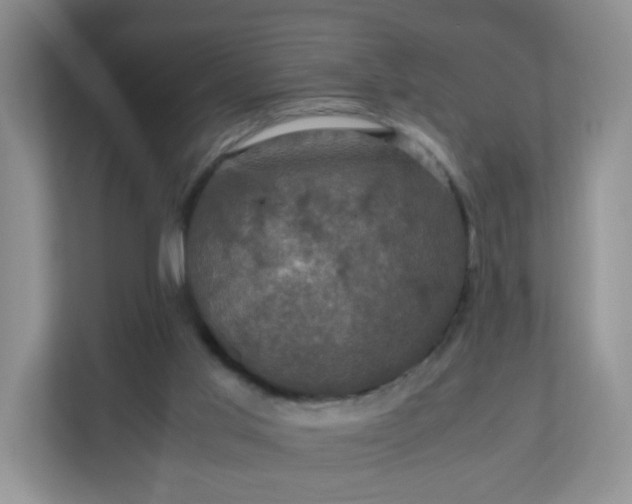X0000110710013200906191557