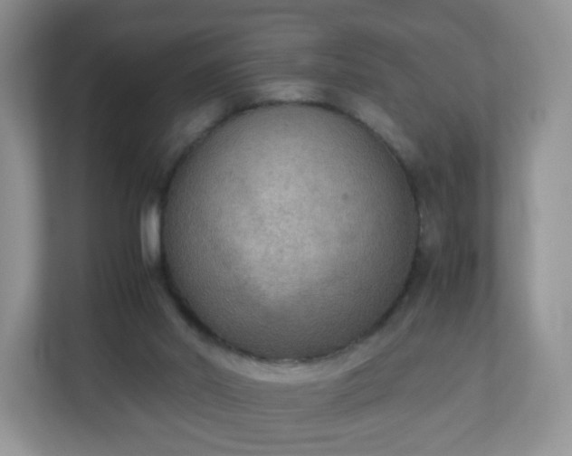 X0000110710014200906191556