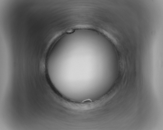 X0000110710015200906191556