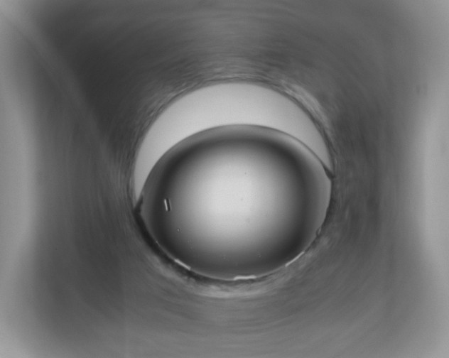 X0000110710017200906191556