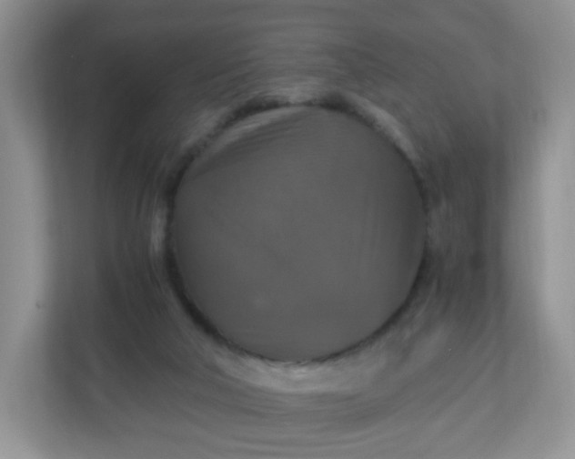 X0000110710018200906191556