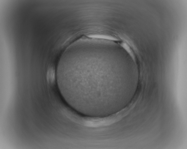 X0000110710021200906191556