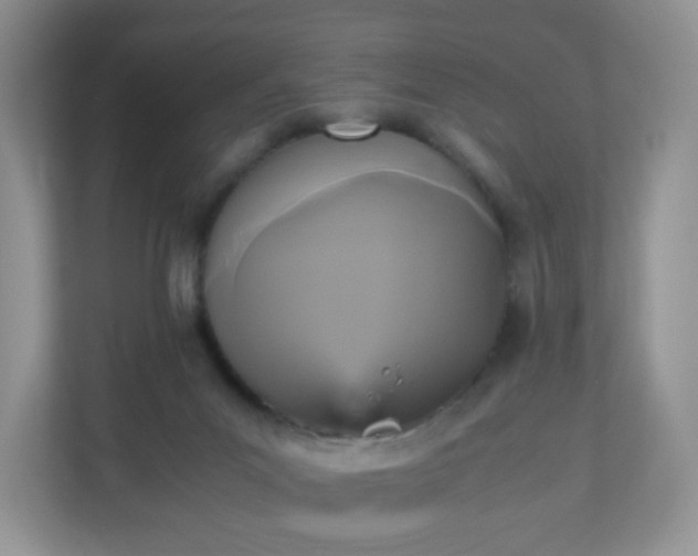 X0000110710023200906191556