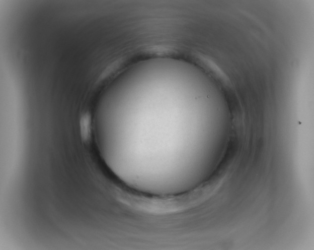 X0000110710024200906191556