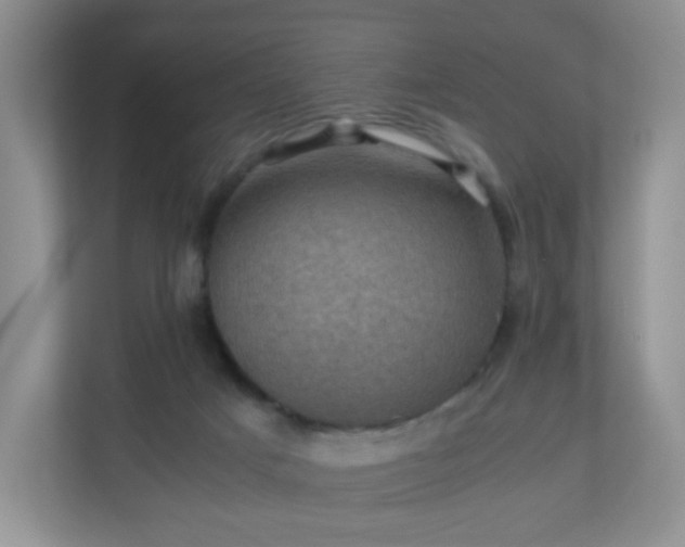 X0000110710025200906191556