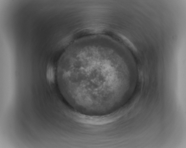 X0000110710026200906191556