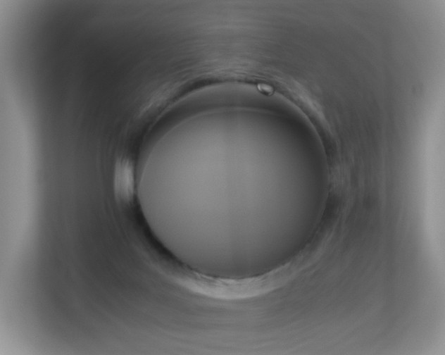 X0000110710027200906191556