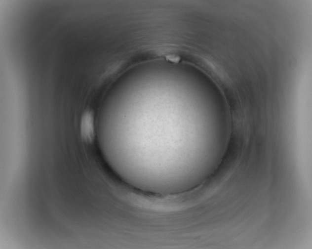 X0000110710028200906191556