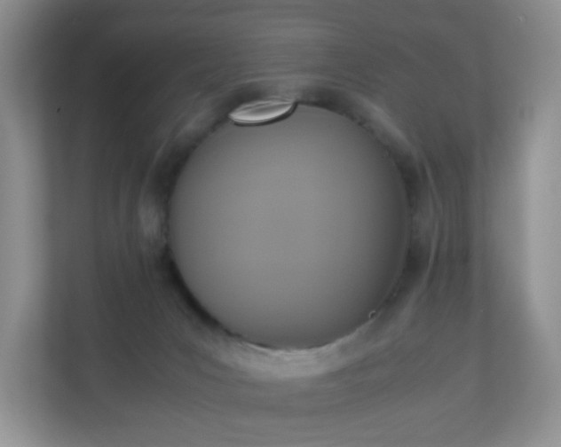 X0000110710031200906191556
