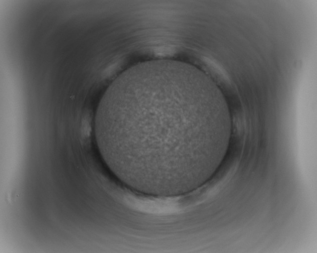 X0000110710032200906191556