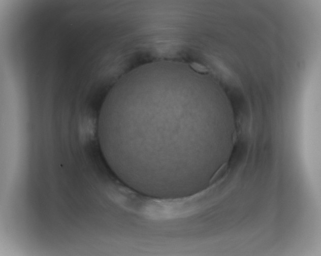 X0000110710033200906191556