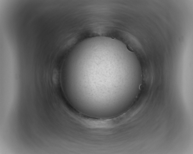 X0000110710036200906191556
