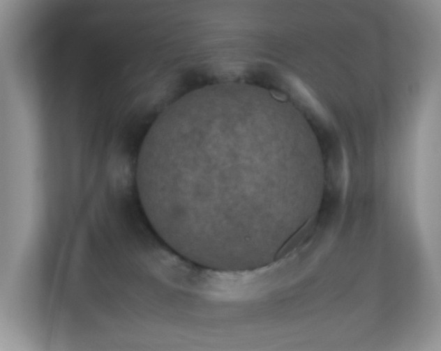 X0000110710037200906191556