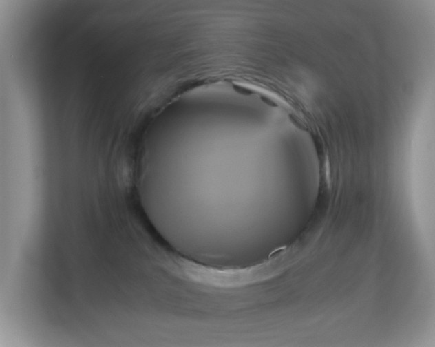 X0000110710039200906191556