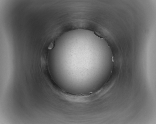 X0000110710040200906191556
