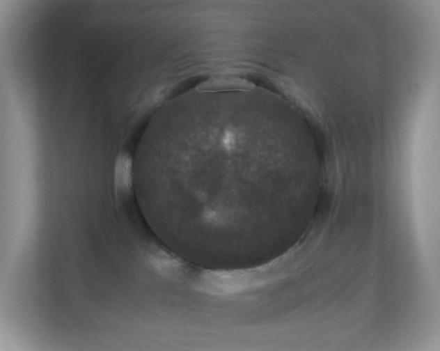 X0000110710041200906191556