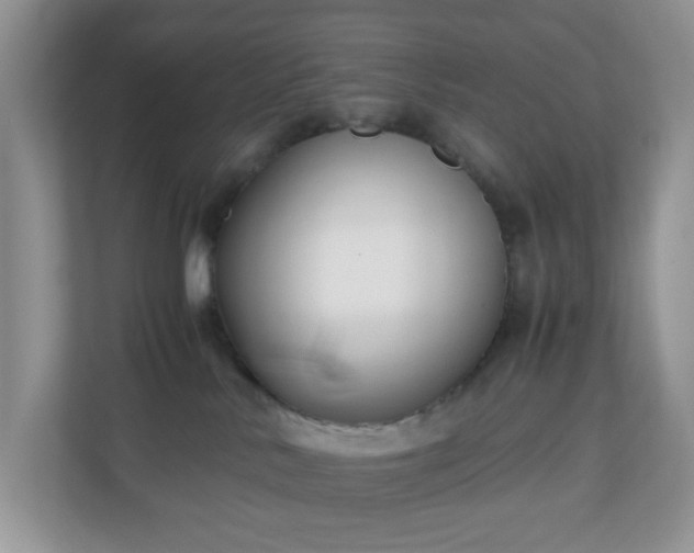X0000110710042200906191556
