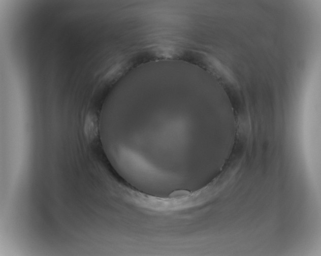 X0000110710043200906191556