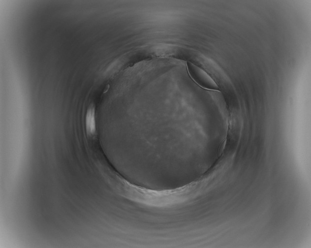 X0000110710046200906191556