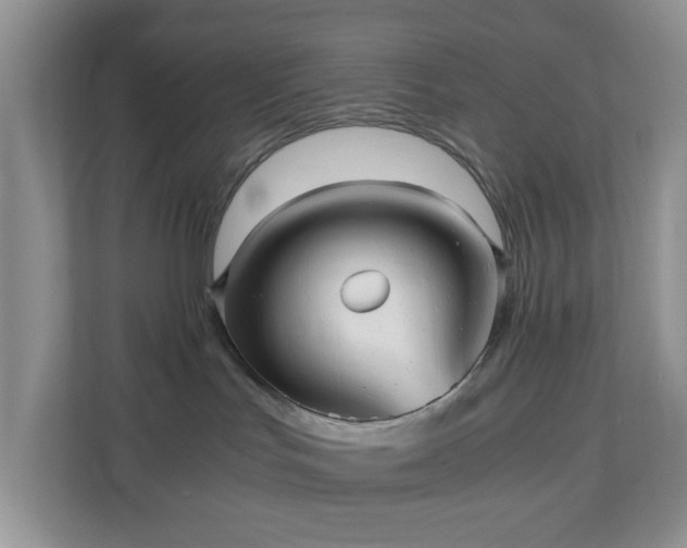 X0000110710047200906191556
