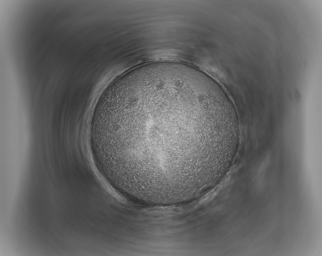 X0000110710049200906191555