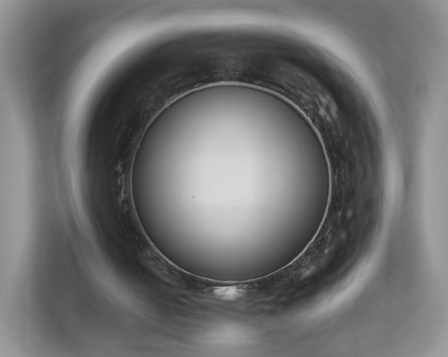 X0000110710050200906191555