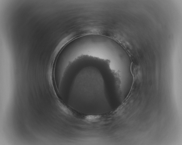 X0000110710051200906191555