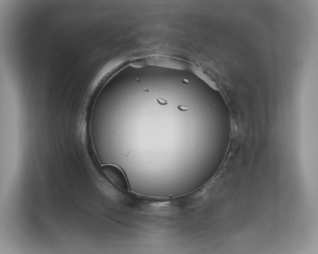 X0000110710054200906191555