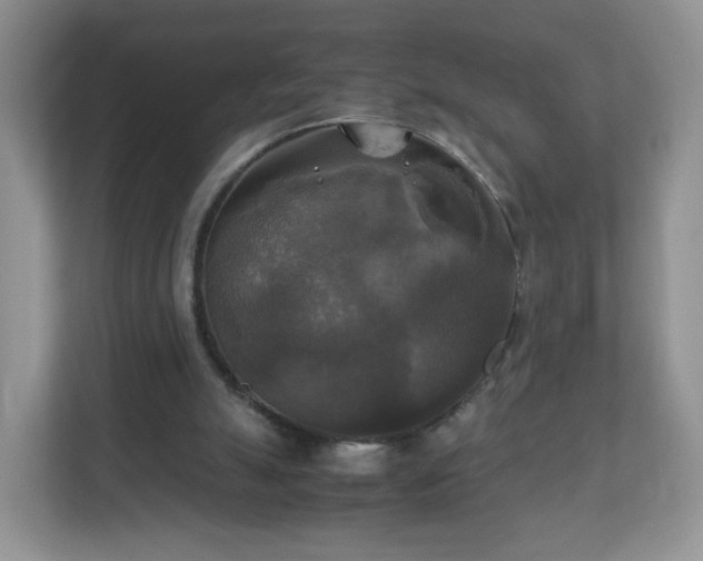 X0000110710055200906191556