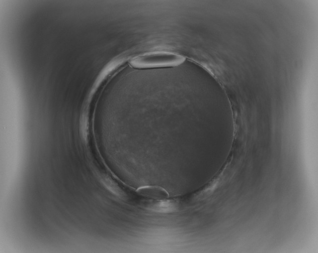 X0000110710056200906191556