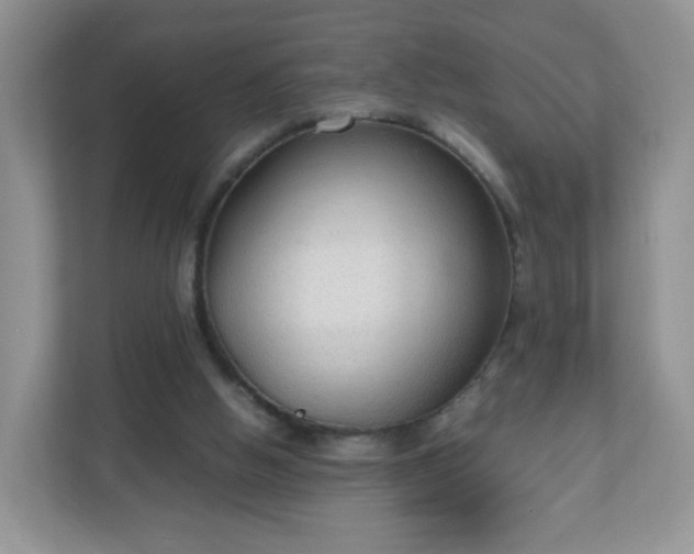 X0000110710058200906191556