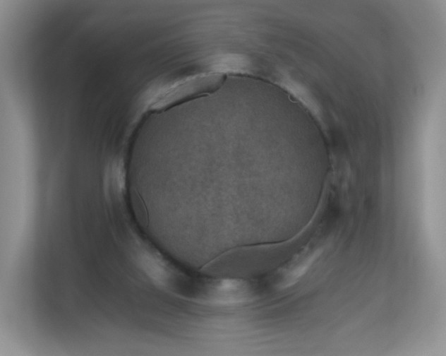 X0000110710060200906191556