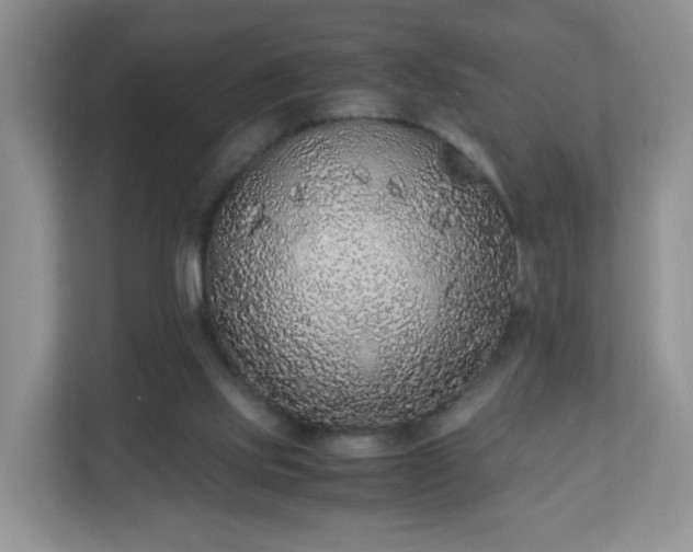 X0000110710061200906191556